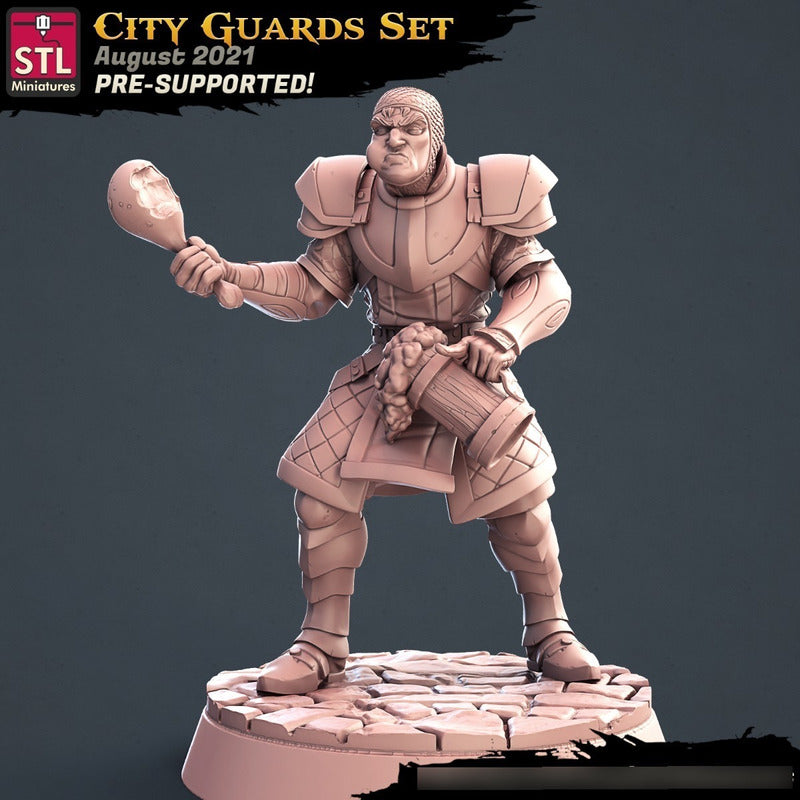 STL Miniatures - City Guards B - Assasins and City Guards