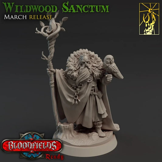 Galaad - Archmage Camelothar - Wildwood Sanctum 2021 March