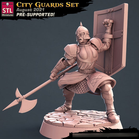 STL Miniatures - City Guards C - Assasins and City Guards