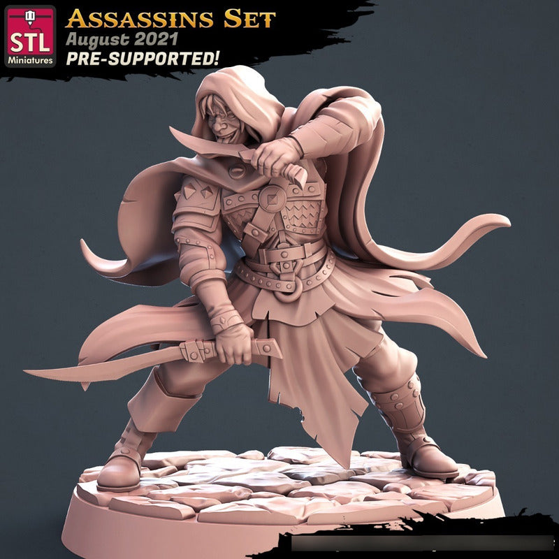STL Miniatures - Assassin C - Assasins and City Guards