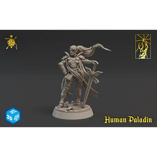 Titan Forge - Human Paladin - Titan Adventure