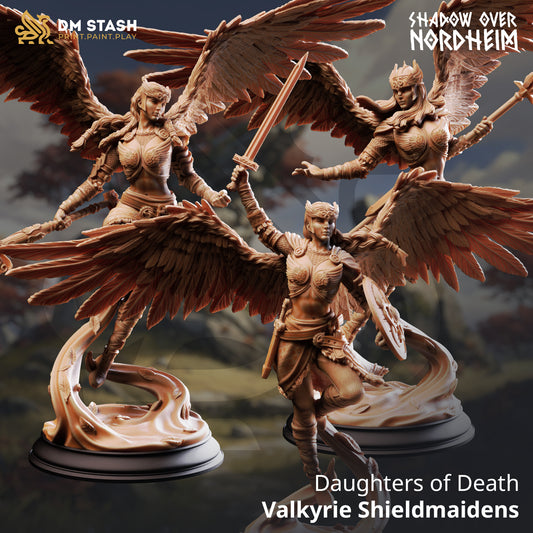 DM Stash - Daughters Of Death, Valkyrie Shieldmaidens - Shadow Over Nordheim 2025 October