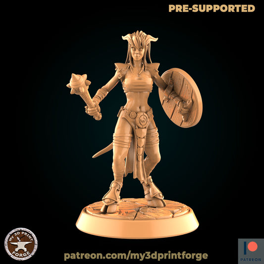 My 3D Print Forge - World of Warcraft, Drenei, Female Fighter 2021 January 35mm