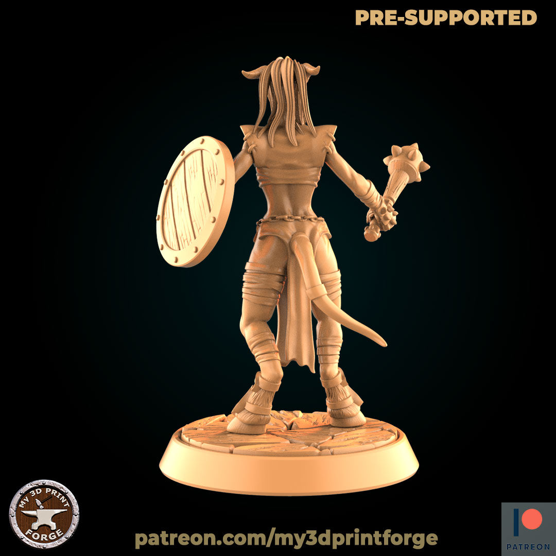 My 3D Print Forge - World of Warcraft, Drenei, Female Fighter 2021 January 35mm