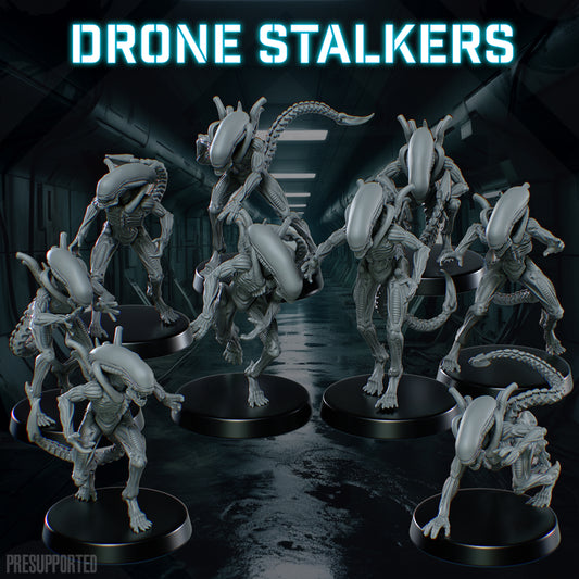 Skullforge - Alien Drone Stalker 2024 Agust Release