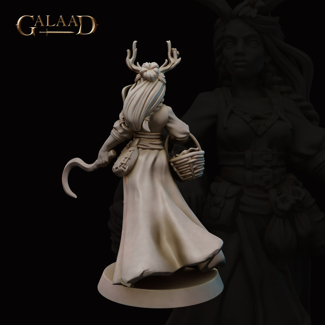 Galaad - Druid Human - Mages 2023 January