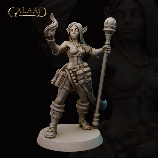 Galaad - Elf Wizard - Mages 2023 January