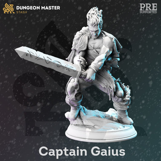 DM Stash - Captain Gaius Male Human Fighter - The Frozen wastes of Oldavor 2021 December Release