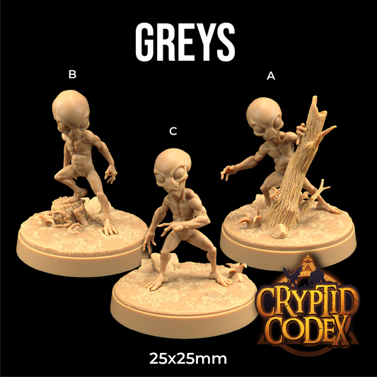 Dragons Trappers Lodge - Greys - Cryptid Codex 2025 October