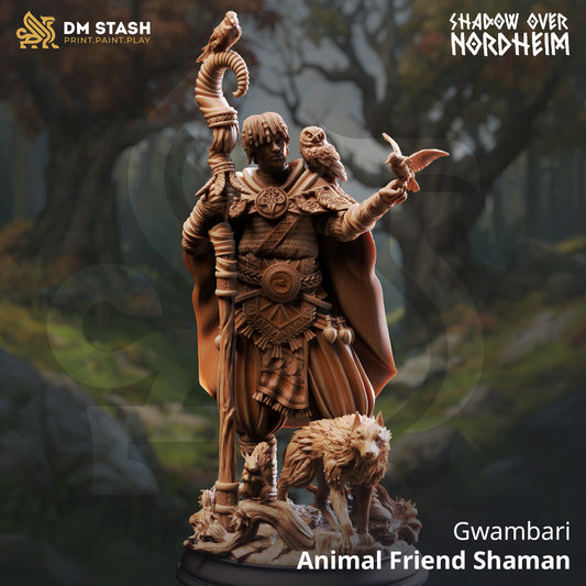 DM Stash - Gwambari, Animal Friend Shaman - Shadow Over Nordheim 2025 October