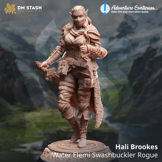 DM Stash - Hali Brookes, Water Elemi Swashbuckler Rogue - Adventures Continues 2024 May
