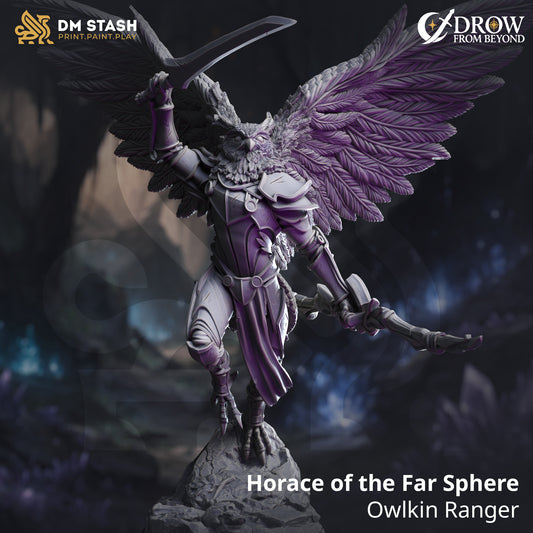DM Stash - Horace of the Far Sphere, Owlkin Ranger - Drow from Beyond 2025 August