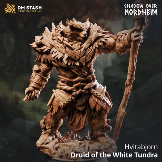 DM Stash - Hvitabjorn, Druid Of The White Tundra - Shadow Over Nordheim 2025 October