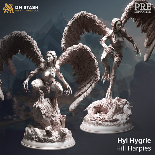 DM Stash - Hyl Hygrie, Hill Harpies - Hexhunters of Brightstone 2023 January