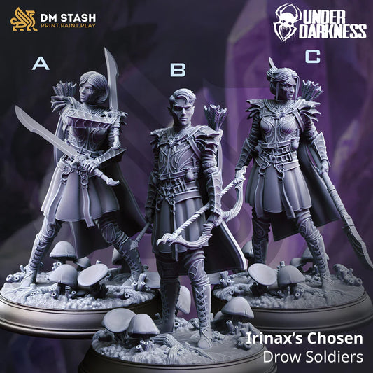 DM Stash - Irinax’s Chosen,  Drow Female Soldiers - Under Darkness 2024 February Release
