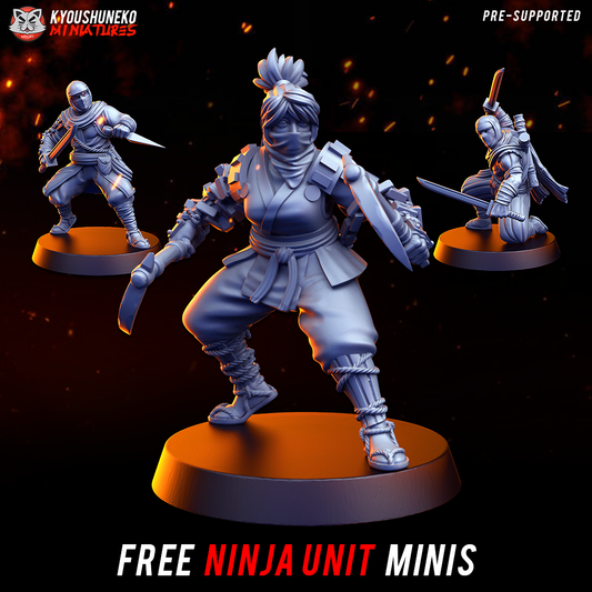 Kyoushuneko Miniatures - Ninja Units