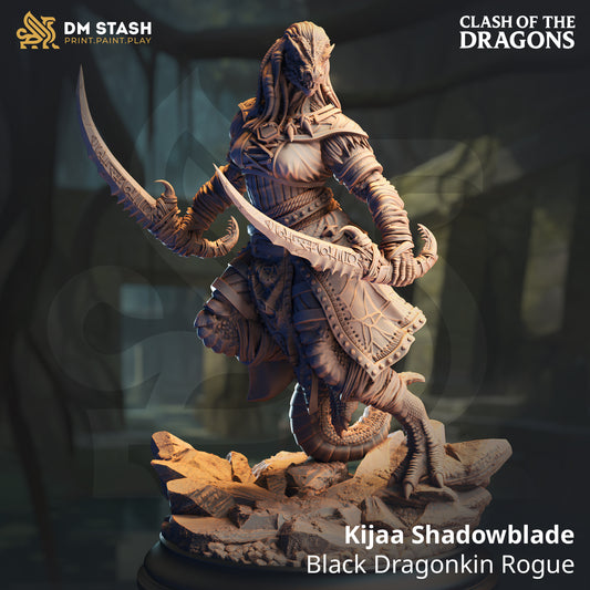 DM Stash - Kijaa Shadowblade, Black Dragonborn Rogue - Clash of Dragons 2025 June