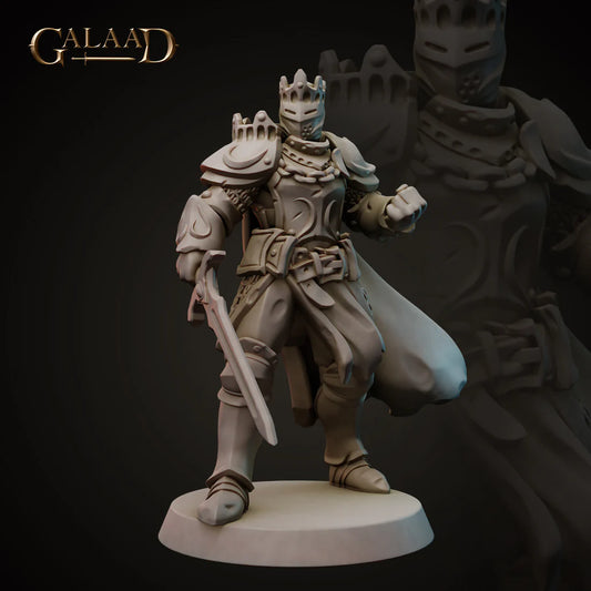 Galaad - King Armor 01 - Royal Guard 2023 February