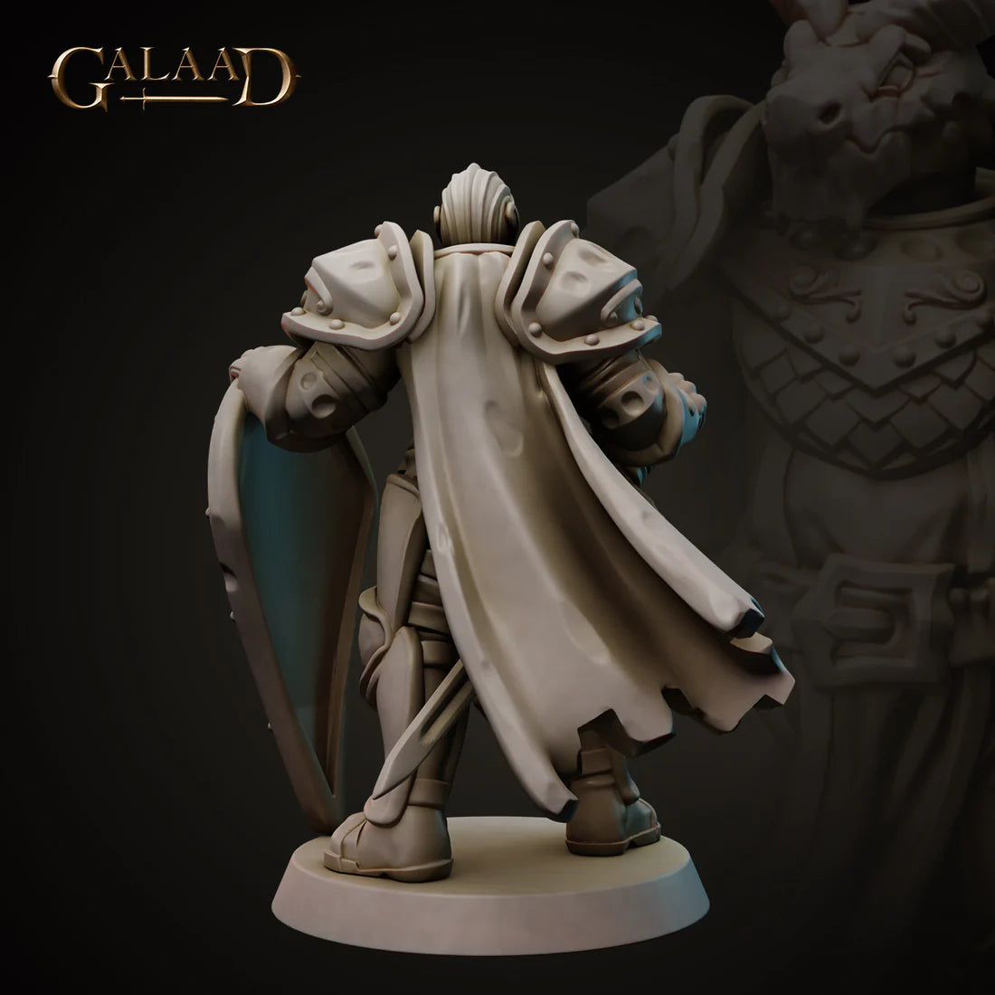 Galaad - Knight 01 Dragonborn - Royal Guard 2023 February