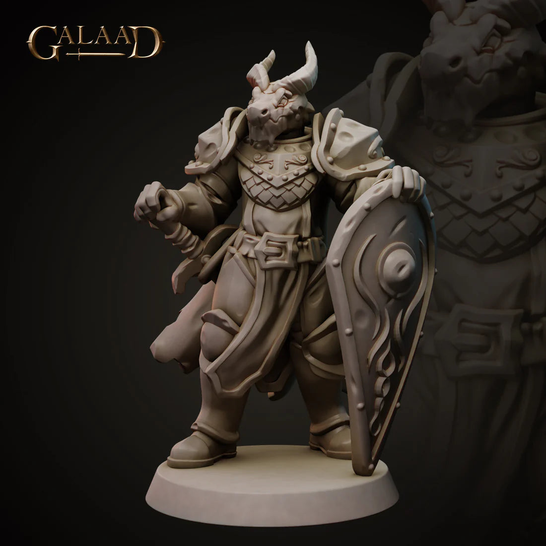 Galaad - Knight 01 Dragonborn - Royal Guard 2023 February