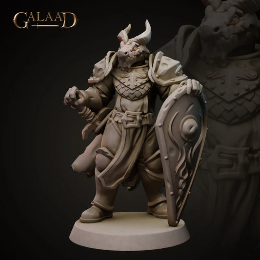 Galaad - Knight 01 Dragonborn - Royal Guard 2023 February