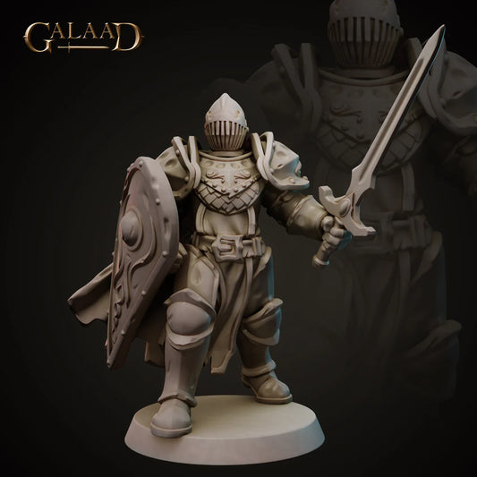 Galaad - Knight 03 - Royal Guard 2023 February