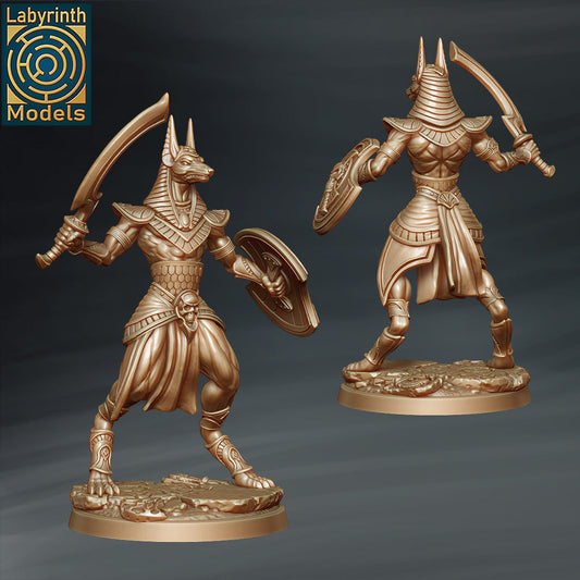 Labyrinth Models - Anubis Warrior 1 Dogfolk - Kingdom of Kemet 2022 November