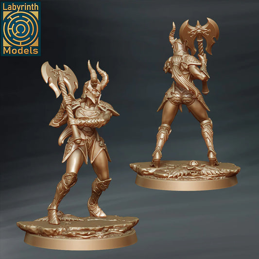 Labyrinth Models - Dragon Hunter Figther 1 - Dragon Cult 2023 January