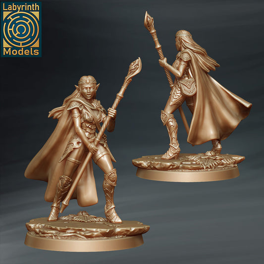 Labyrinth Models - Dragon Hunter Wizard 4 - Dragon Cult 2023 January