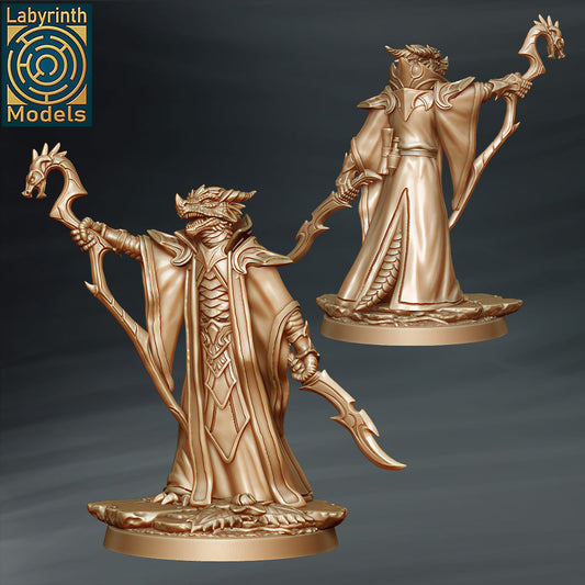 Labyrinth Models - Dragonborn Wizard - Dragon Cult 2023 January