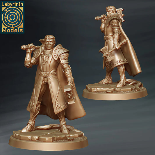 Labyrinth Models - Paladin Templar Knight 1 - Witch Hunters 2023 March