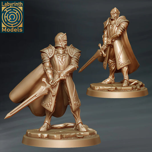 Labyrinth Models - Paladin Templar Knight 5 - Witch Hunters 2023 March