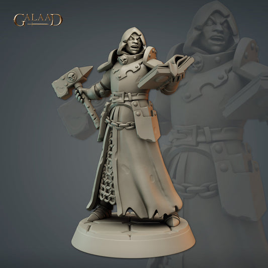 Galaad - Male Human Priest / Cleric Book 1 - Paladins and Clerics 2024 January