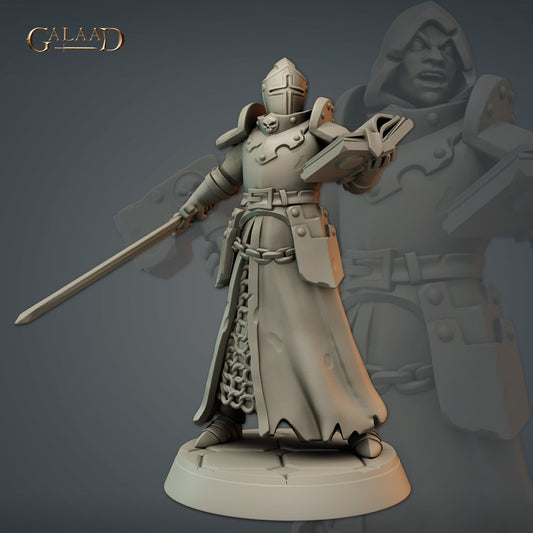 Galaad - Male Human Priest / Cleric Book 2 - Paladins and Clerics 2024 January