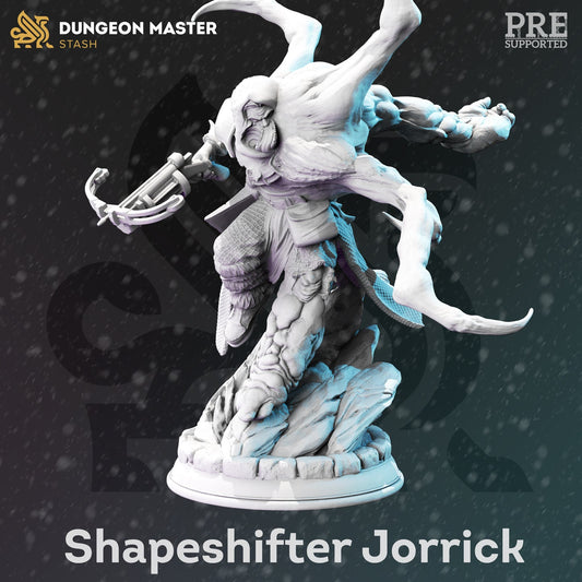 DM Stash - Shapeshifter Jorrick Male Human Ranger - The Frozen wastes of Oldavor 2021 December Release