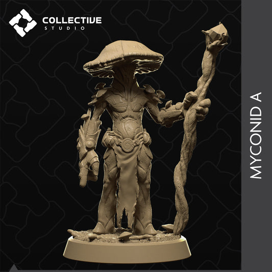 Collective Studio - Myconid A
