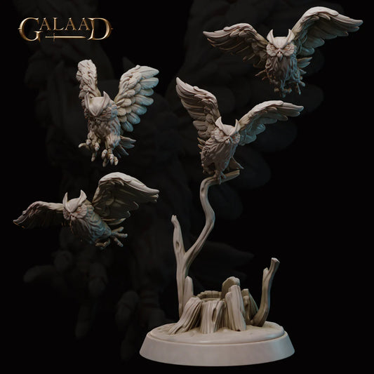 Galaad - Owls pack - Amazon and Shamans 2022 Noviembre