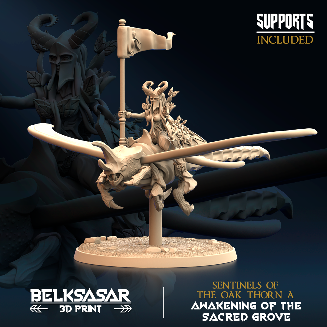 Belksasar - Sentinels of the Oak Thorn A - Awaking of the Sacred Grove 2025 December