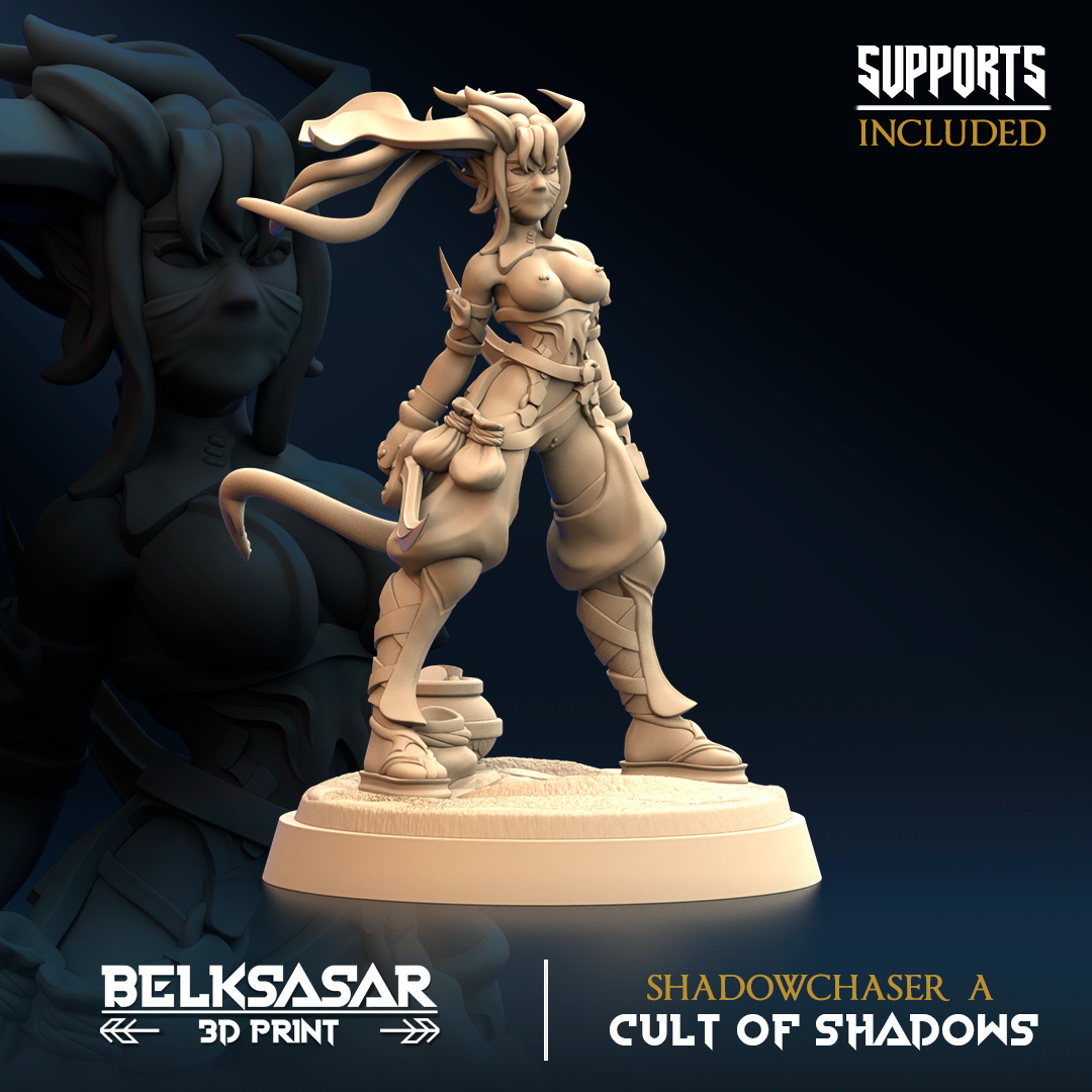 Belksasar - Shadowchaser Tiefling Rogue 2024 October Release 35mm