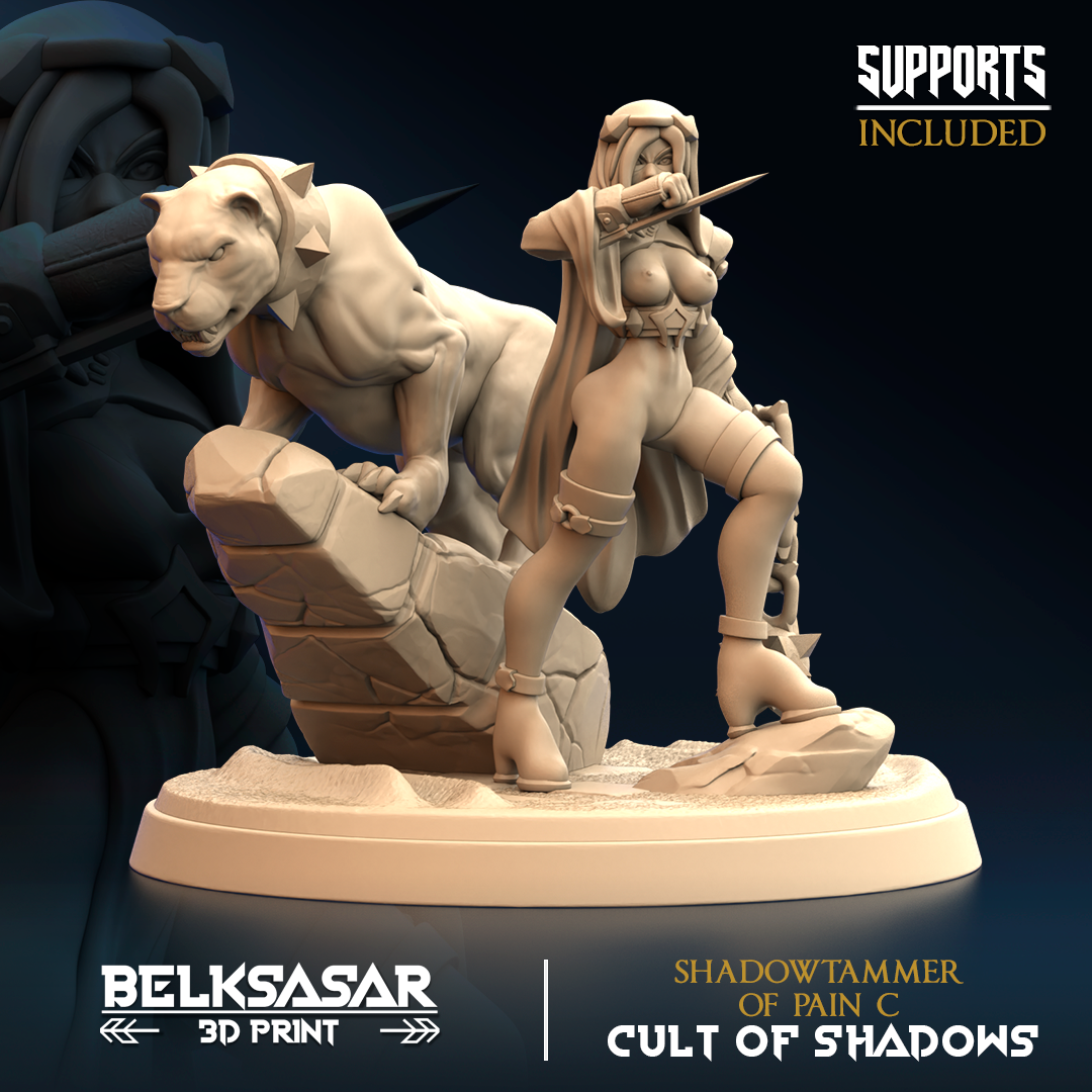 Belksasar - Shadowtammer Ranger of Pain - Cult of Shadows 2024 November