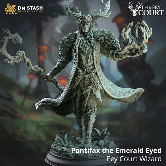 DM Stash - Pontifax the Emerald Eyed, Fey Court Wizard - The Fey Court 2025 May