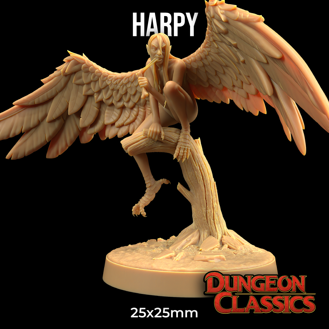 Dungeon Classics - Harpy - 2024 December