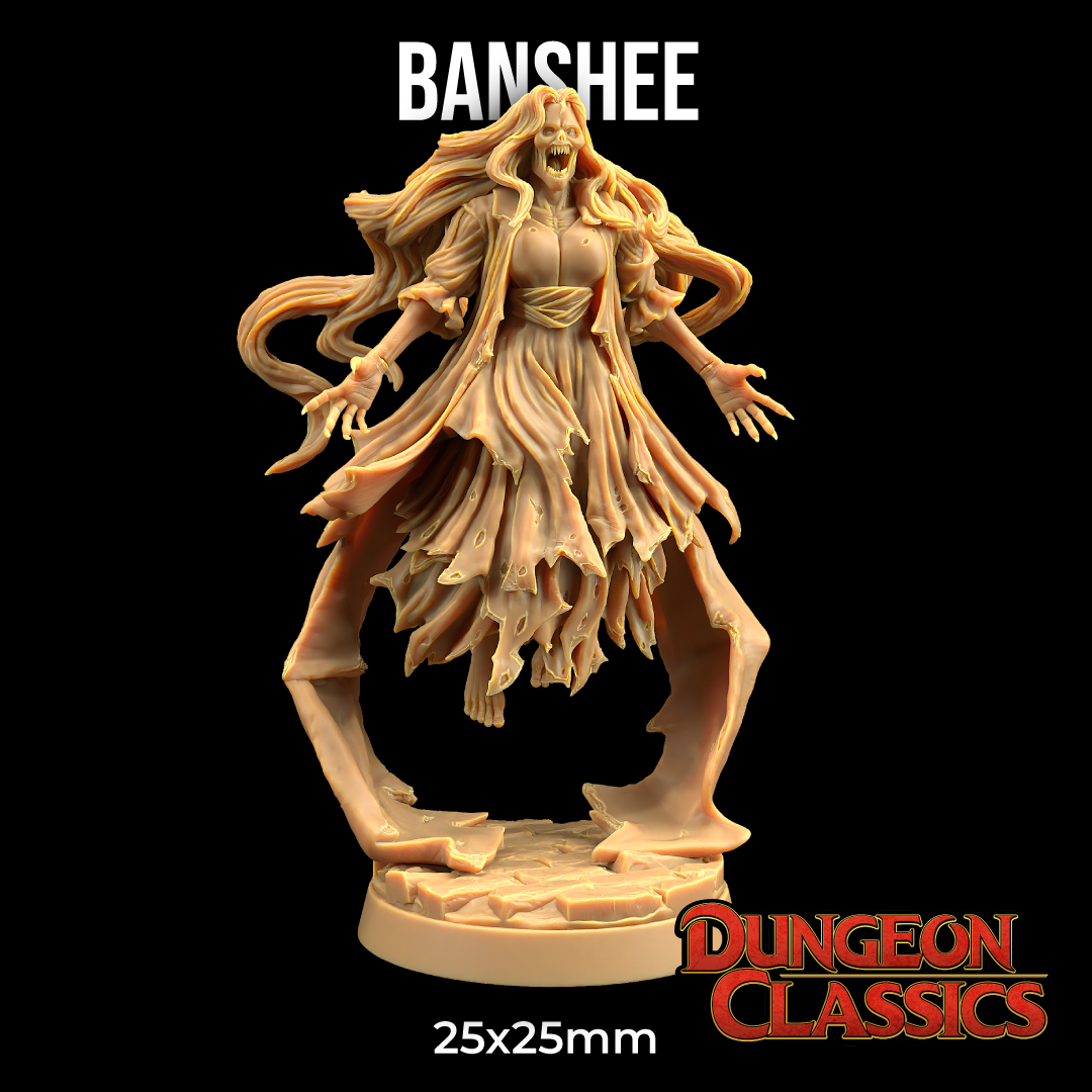 Dungeon Classics - Banshee 2024 October Release 35mm