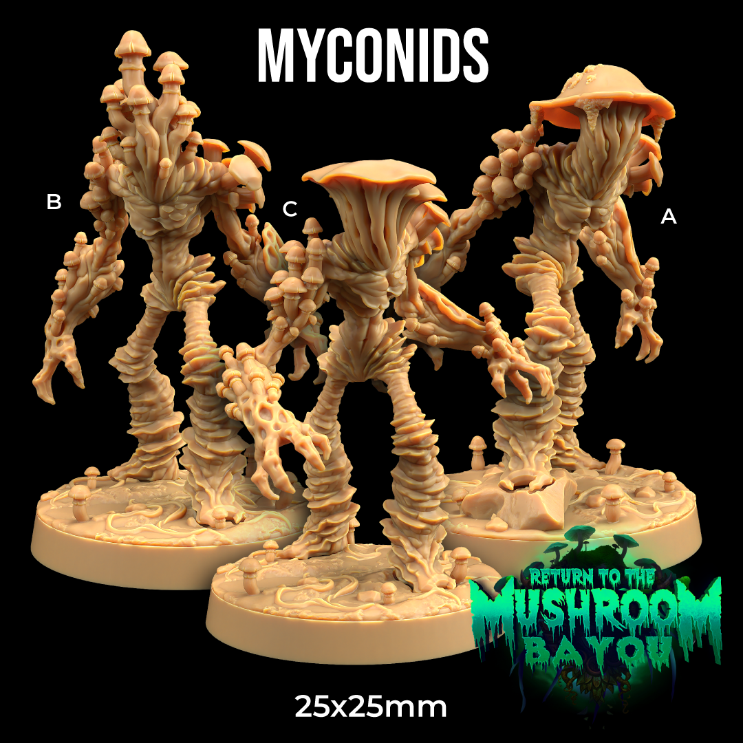 Dragons Trappers Lodge - Myconids - Return to the Mushroom Bayou 2024 November