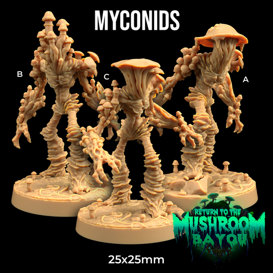 Dragons Trappers Lodge - Myconids - Return to the Mushroom Bayou 2024 November