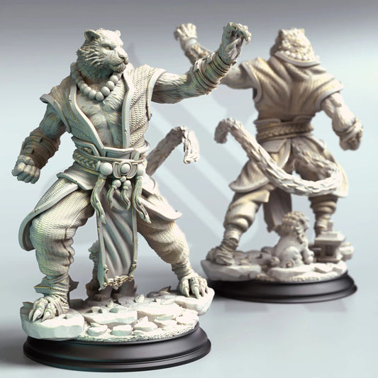 DM Stash - Riko, Tabaxi Monk - Forgotten Maze 2023 September
