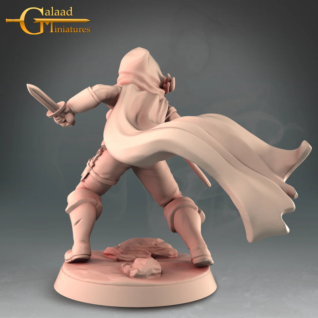 Galaad - Rogue Human - Starter Pack