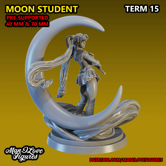 Man I Love Figures - Serena Tsukino A, Sailor Moon - Term 15 2023 January
