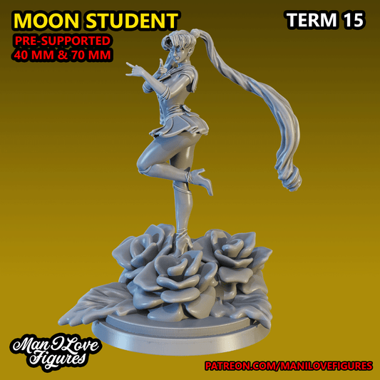 Man I Love Figures - Serena Tsukino B, Sailor Moon - Term 15 2023 January