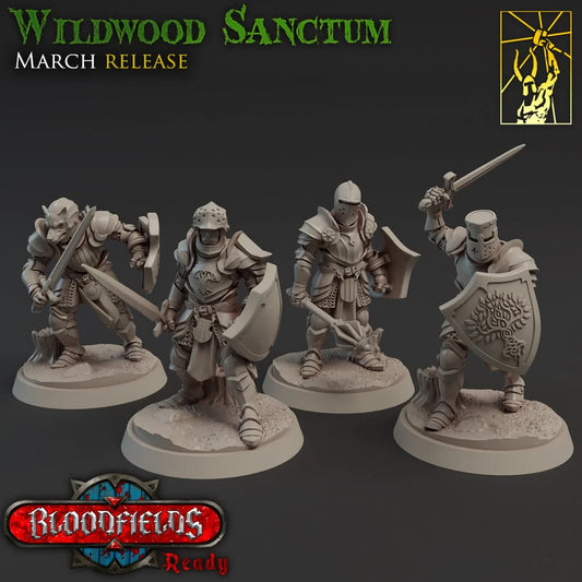 Galaad - Sanctum Crusade - Wildwood Sanctum 2021 March